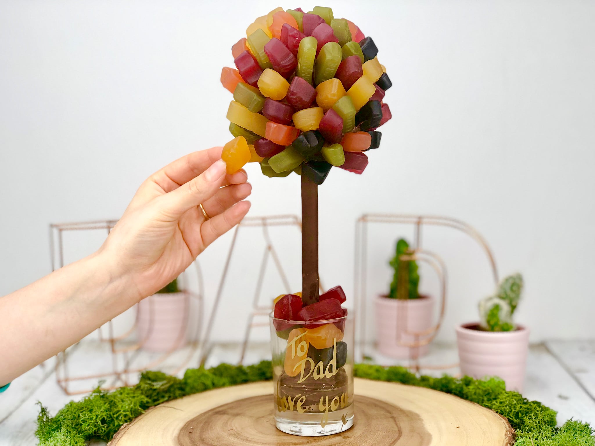 Wine Gum Tree Sweet Tree By Browns