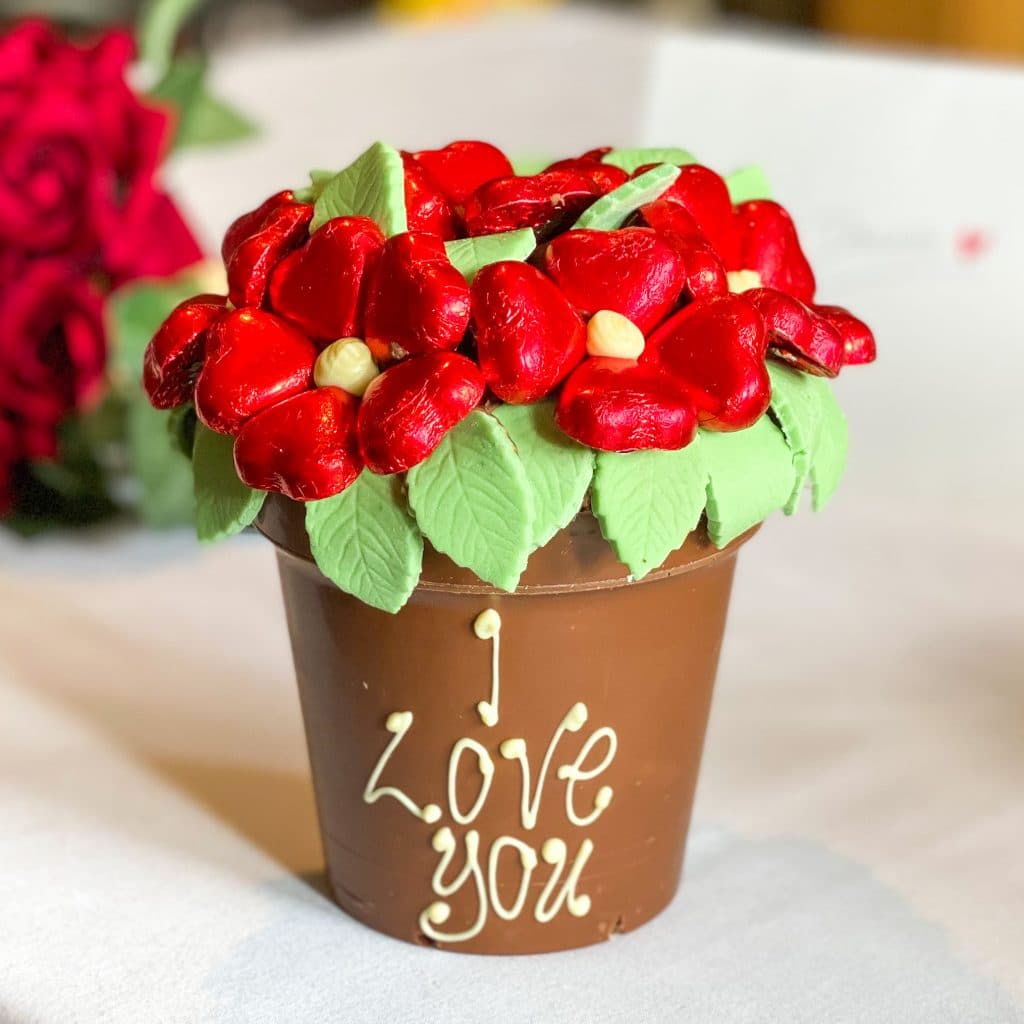 Belgian Chocolate Red Smash Flower Pot